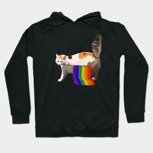 Rainbow Flag Gay Pride Cat LGBT Queer Community Support Hoodie